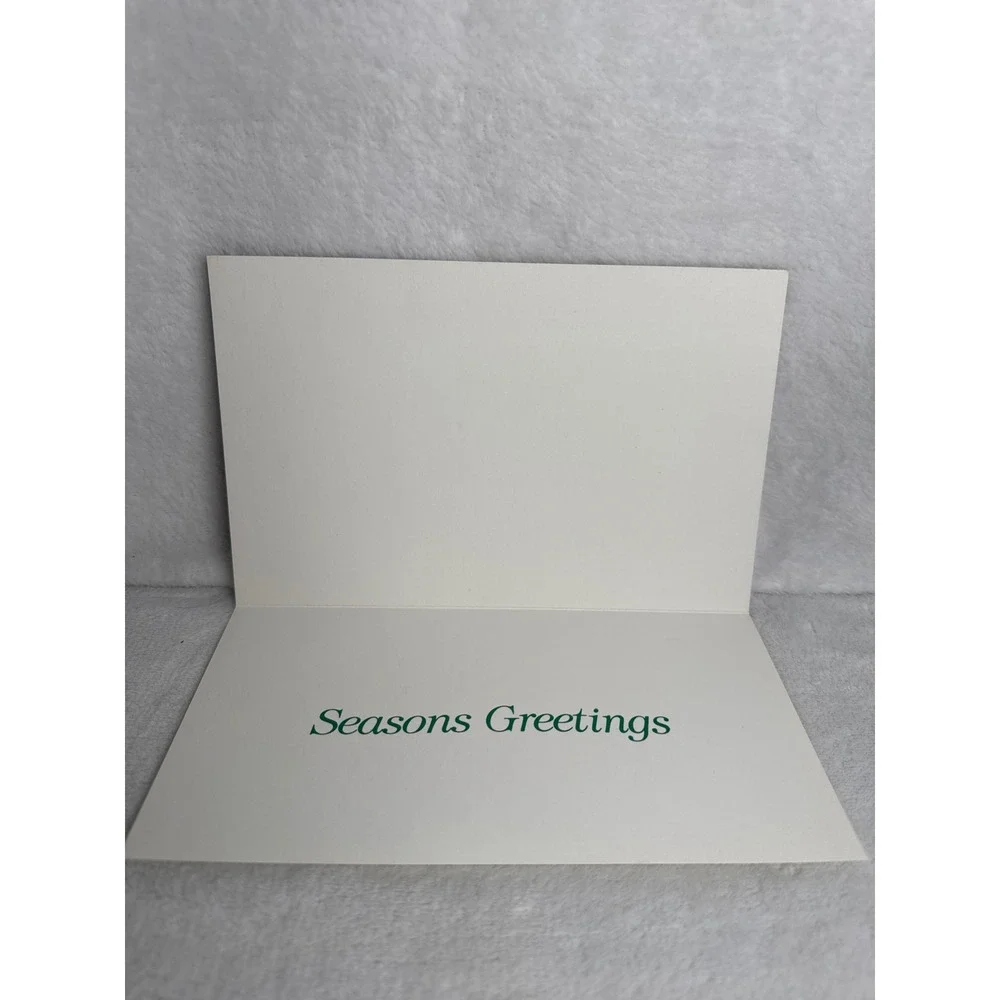 Vintage Donato Christmas Card Santa Sleigh Turtles Golf Unisex OS Black Like New